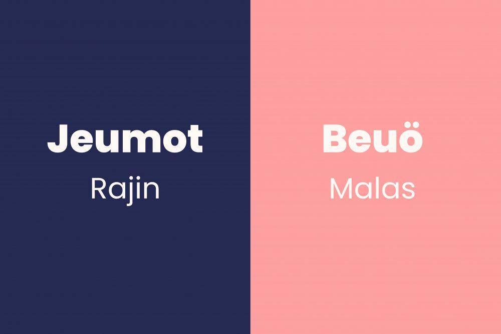 kata sifat dan antonimnya dalam bahasa Aceh (Dok. Pribadi/Fatimah)