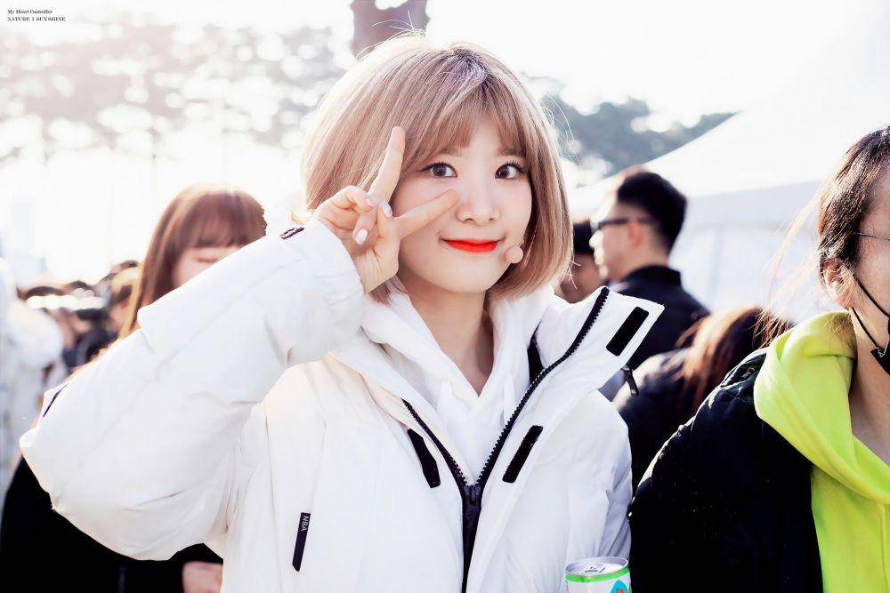 Sunshine NATURE (twitter.com/0620_NATURE)