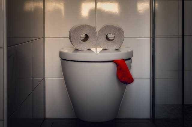 ilustrasi toilet (pixabay.com/tama66)