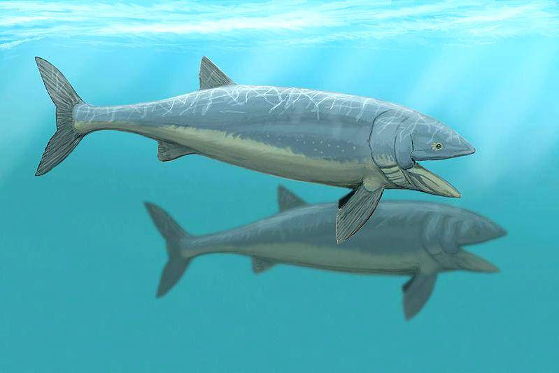 ilustrasi Leedsichthys (thoughtco.com)