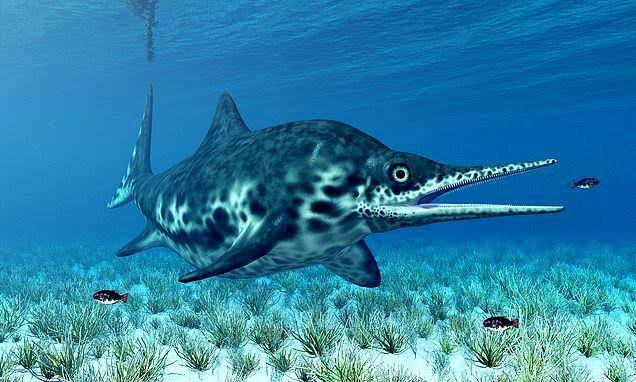 Ilustrasi Ichthyosaurus (dailymail.co.uk)