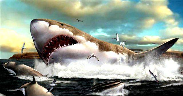 ilustrasi Megalodon (sciencemag.org)