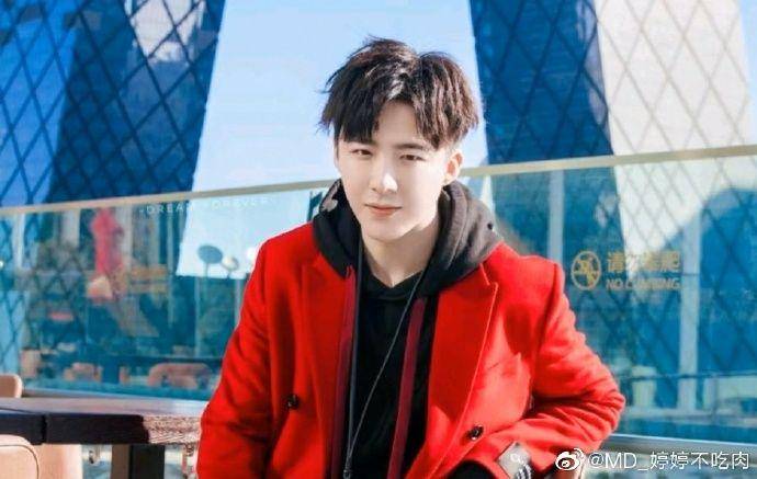 Liu Yuning (weibo.com/MD_婷婷不吃肉)