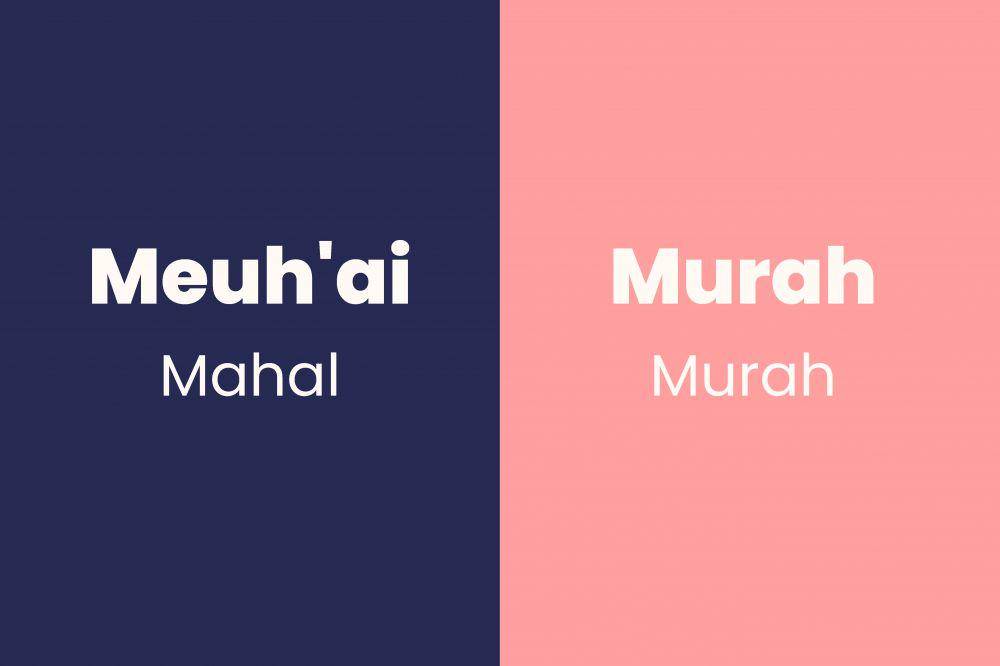 kata sifat dan antonimnya dalam bahasa Aceh (Dok. Pribadi/Fatimah)
