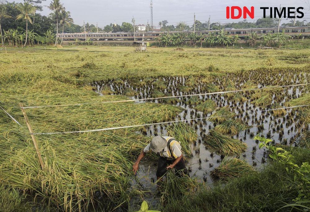 Sikap PKS Terhadap Dua Aturan yang Bikin Petani Terpuruk