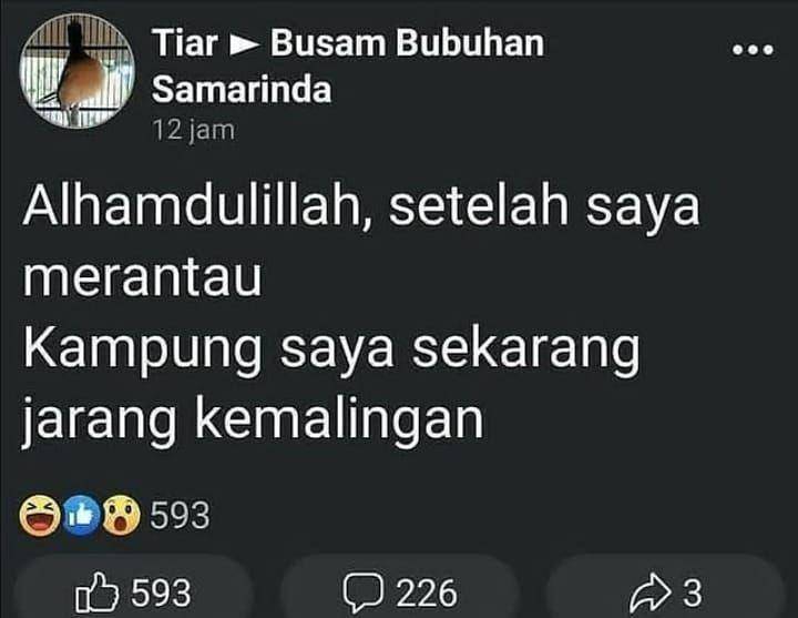potret kalimat bermakna lain (instagram.com/meme_random_q)