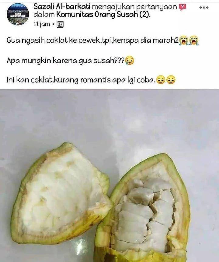 potret kalimat bermakna lain (instagram.com/dagelan.kalteng)