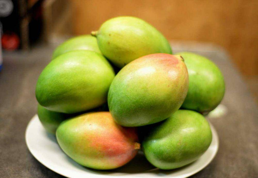 ilustrasi buah mangga (pexels.com/Morris Lowery Jr)