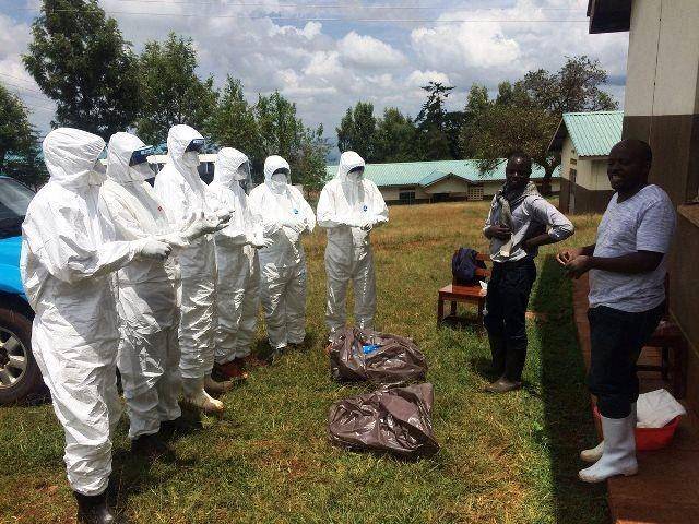 ilustrasi penanganan wabah virus Marburg di Uganda (afro.who.int)