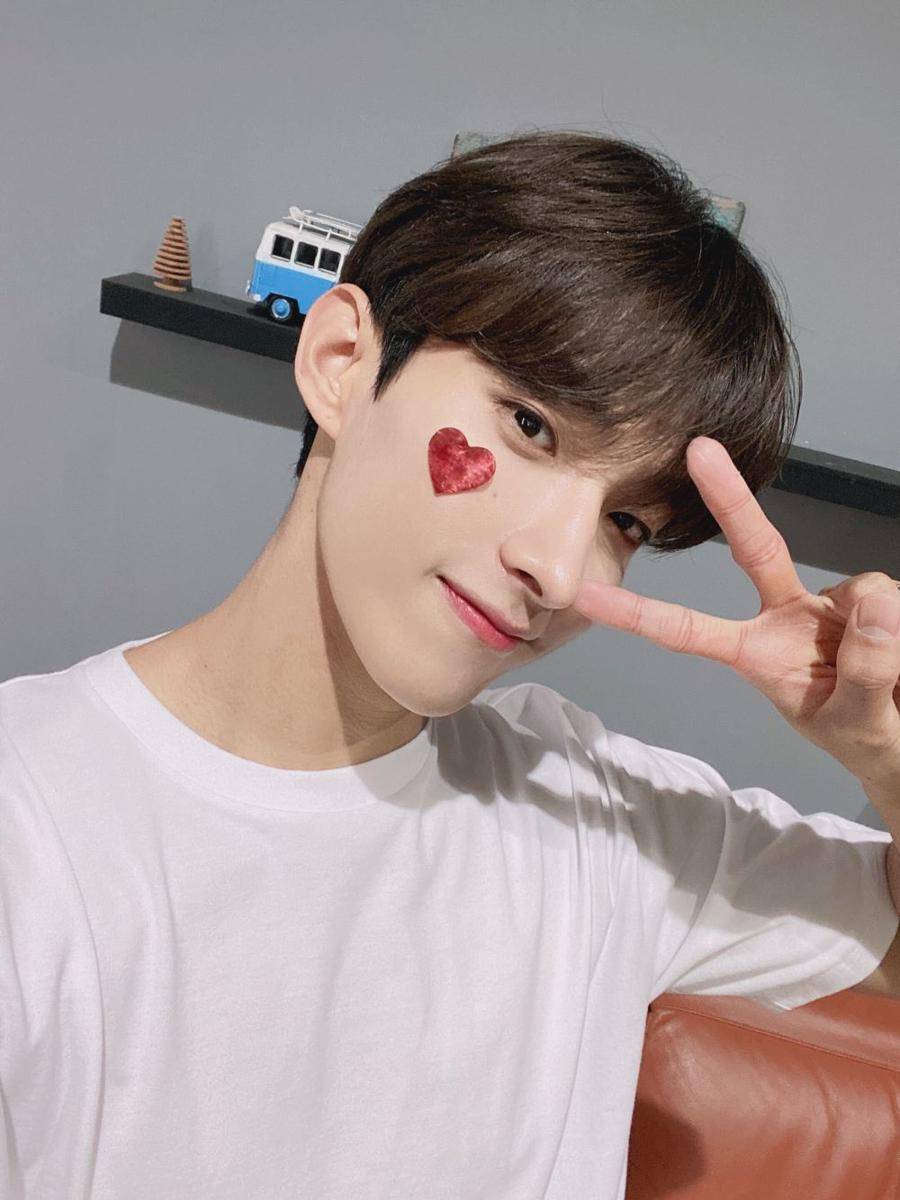 DK SEVENTEEN (twitter.com/pledis_17)