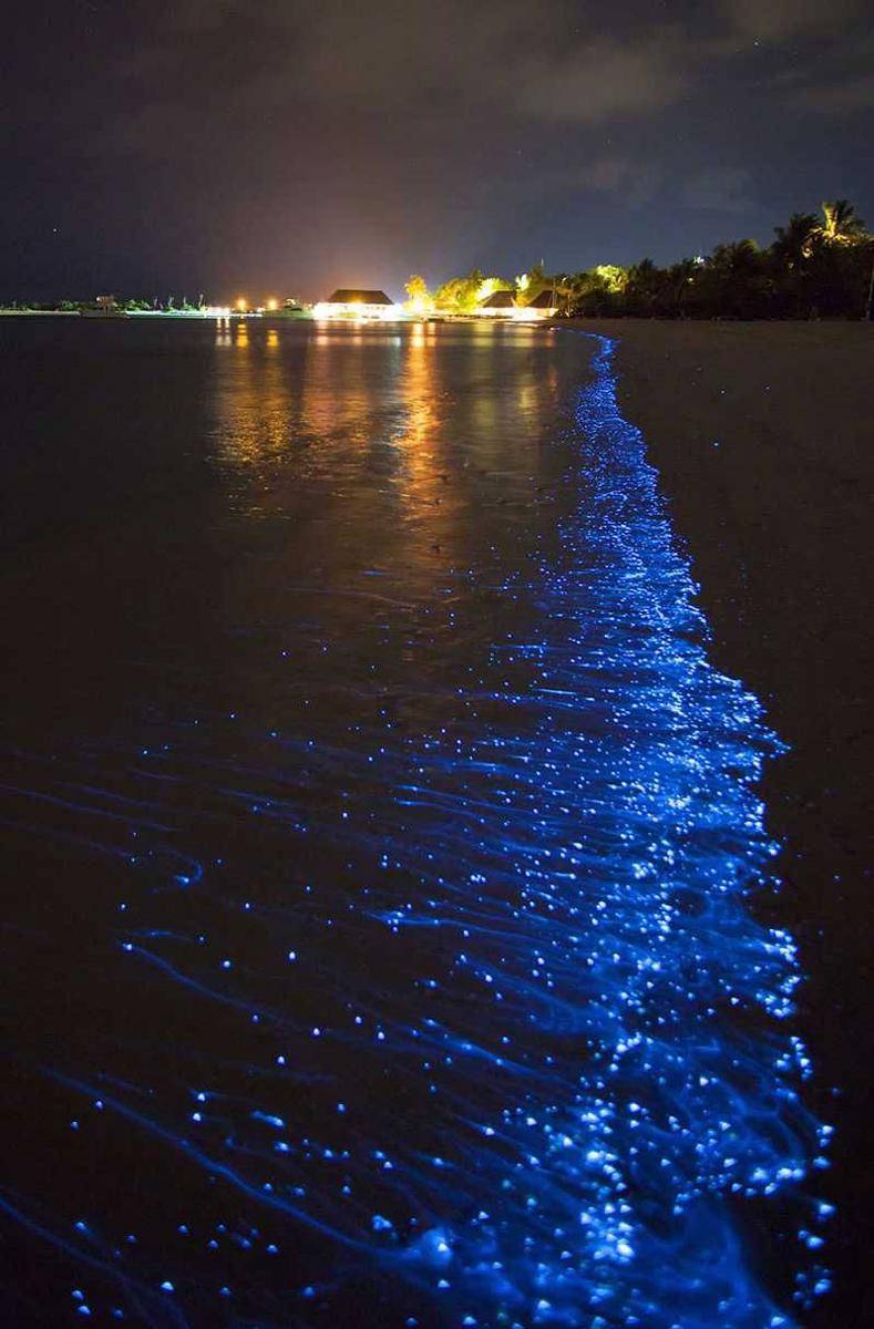 Mosquito Bay di Puerto Rico (instagram.com/puertoricogram)