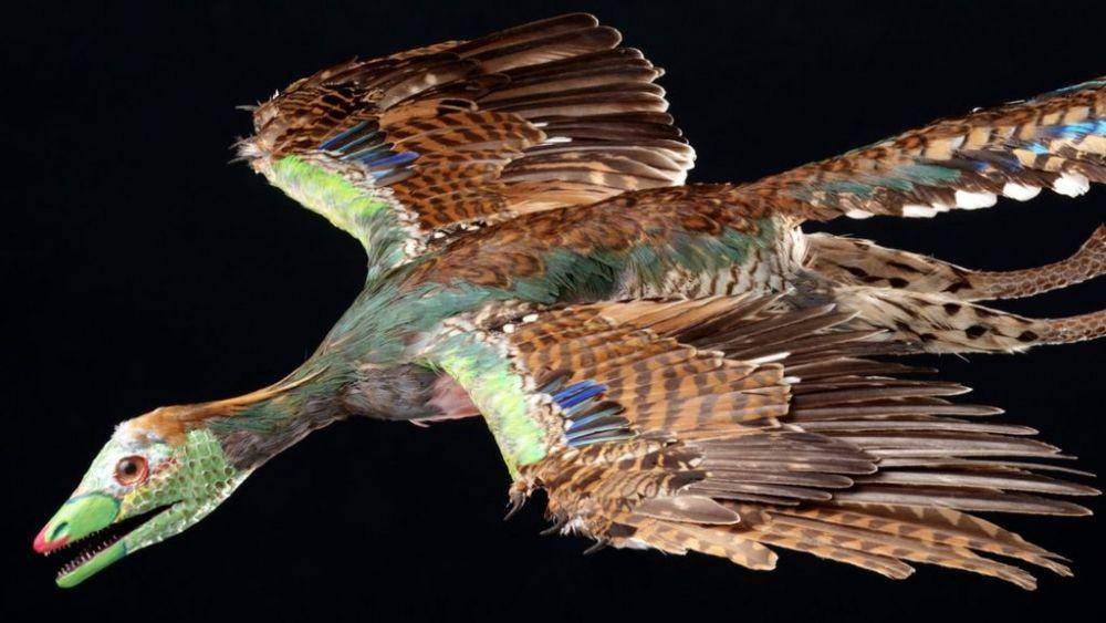 ilustrasi burung Urvogel (dok. BSPG via bbc.co.uk)