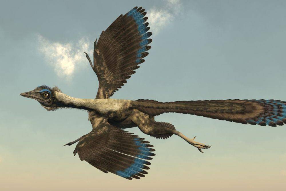 ilustrasi burung Urvogel (newsatlas.com)