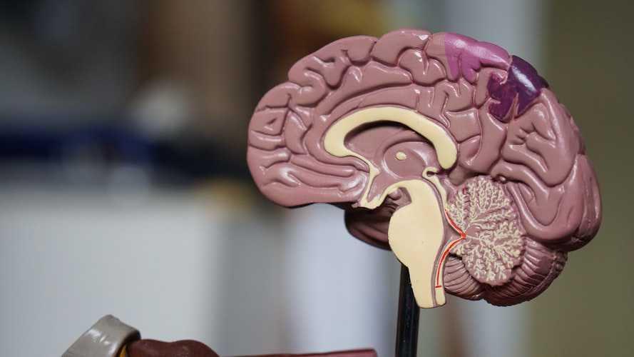 5 Hobi Ini Bantu Tingkatkan IQ, Ada Hobimu?