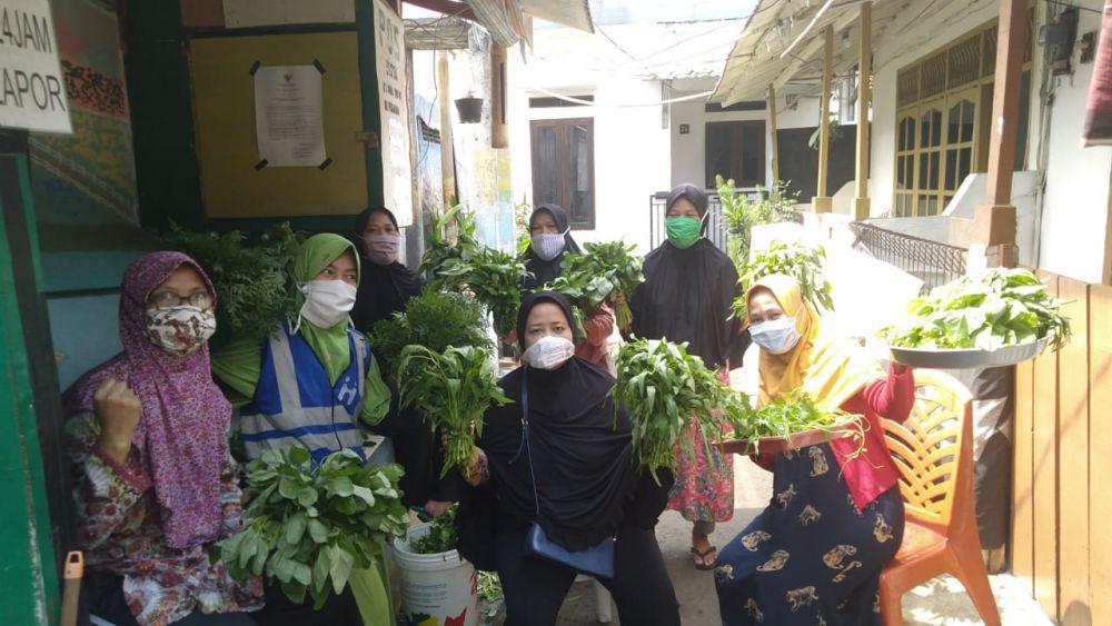 Meski Terbatas PPKM, Kelompok Tani Pengadegan Panen Sayur Hidroponik