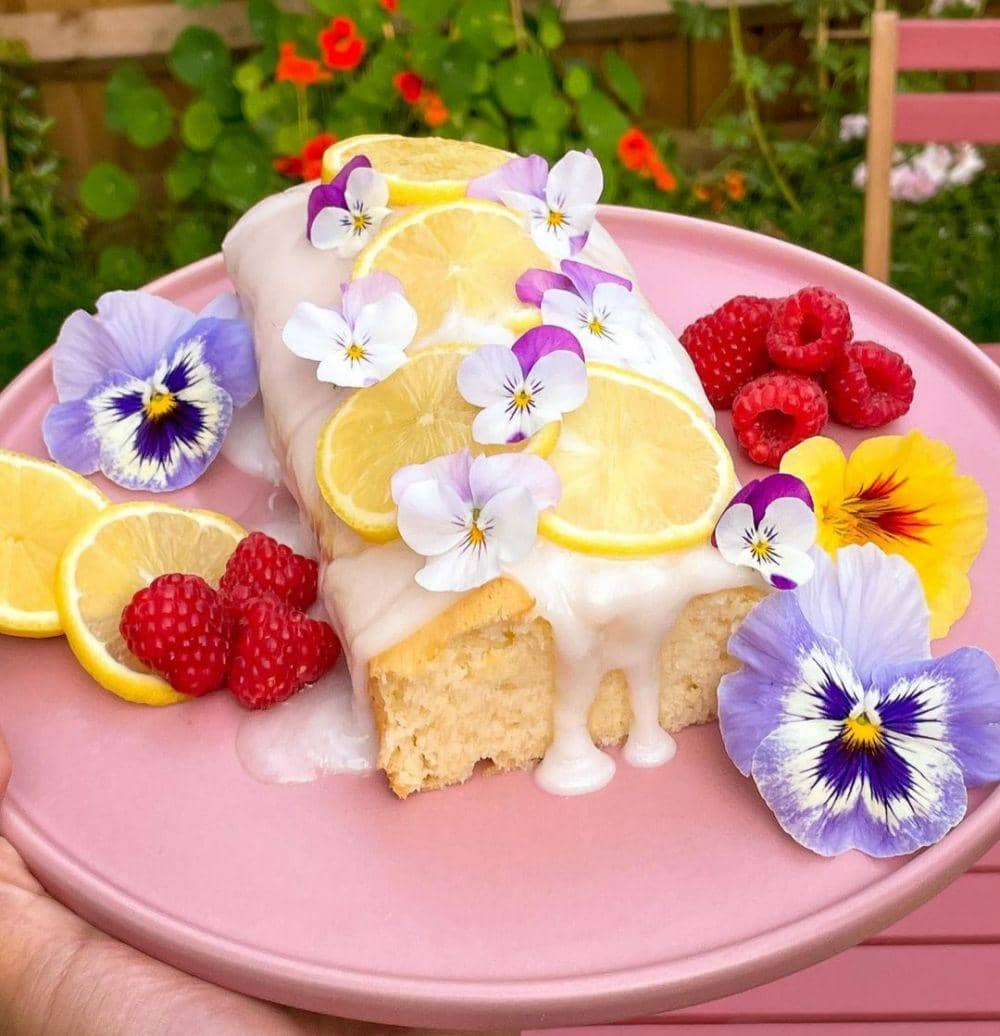lemon drizzle cake (instagram.com/ambertheevegan)
