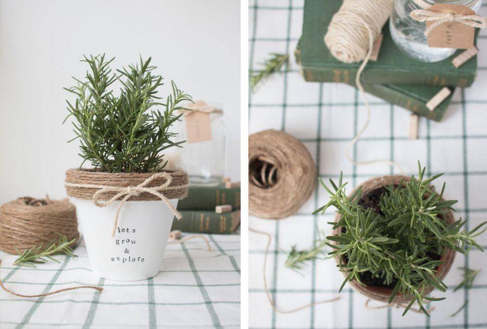DIY Hadiah Agustusan untuk Keluarga (shutterfly.com)