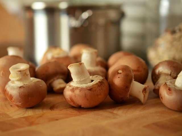 Ilustraai jamur shiitake (pexels.com/Pixabay)