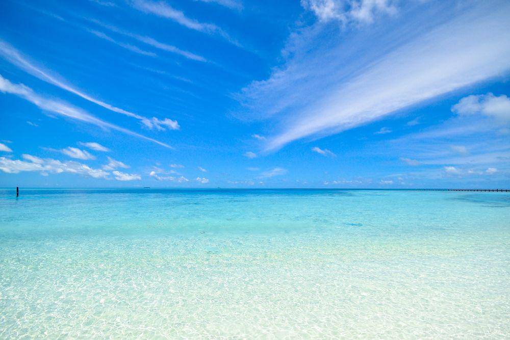 Ilustrasi Laut (Pexels.com/Asad Photo Maldives)