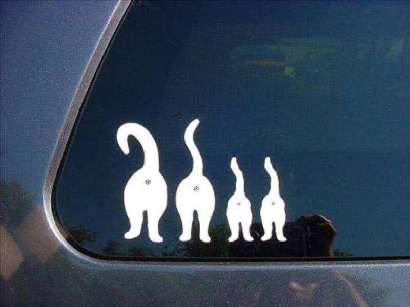 Stiker Keluarga di Kaca Belakang Mobil Ngakak (buzznicked.com)
