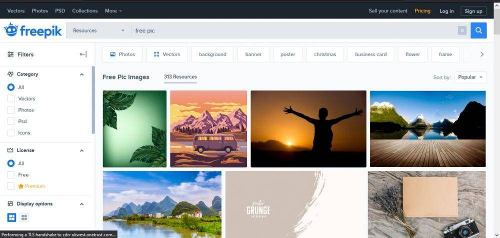 freepik (freepik.com)