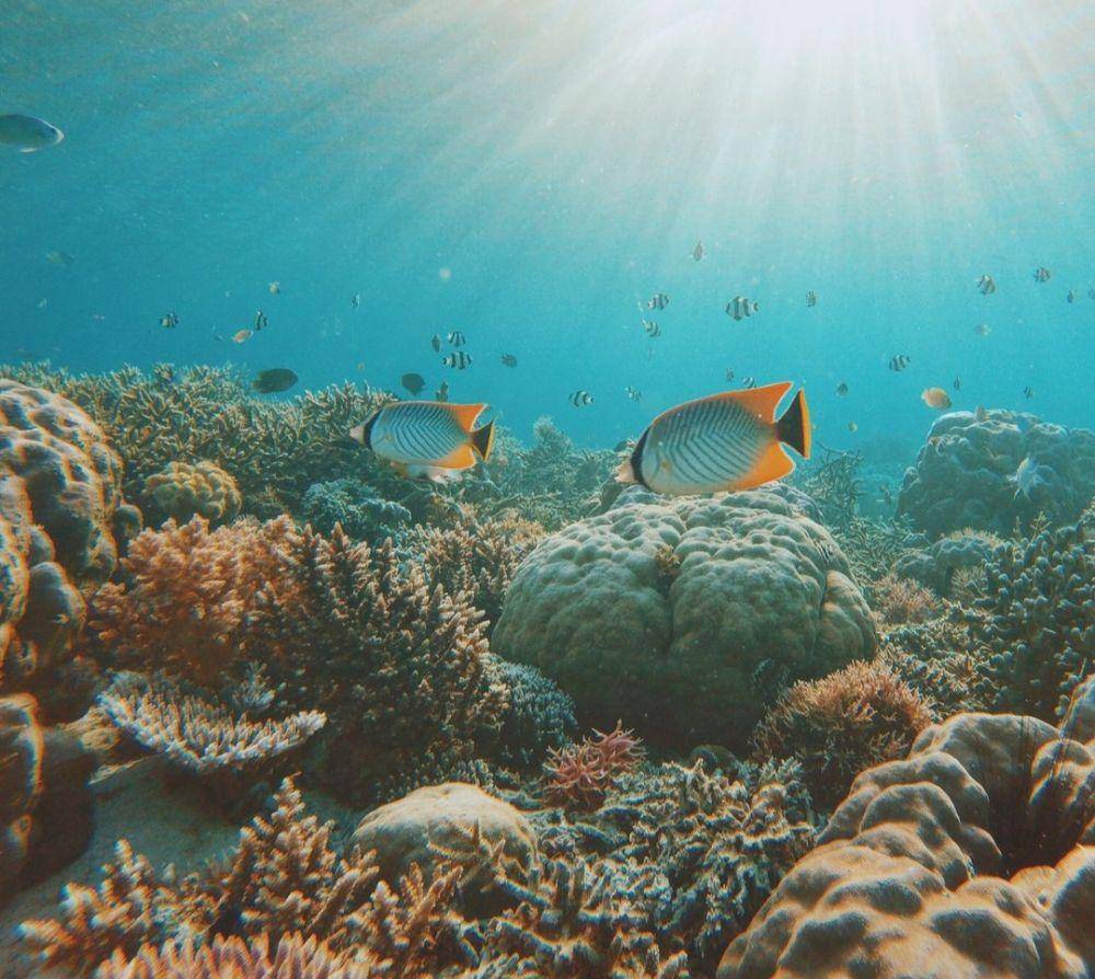 snorkeling di Gili Laba (instagram.com/_febrian)