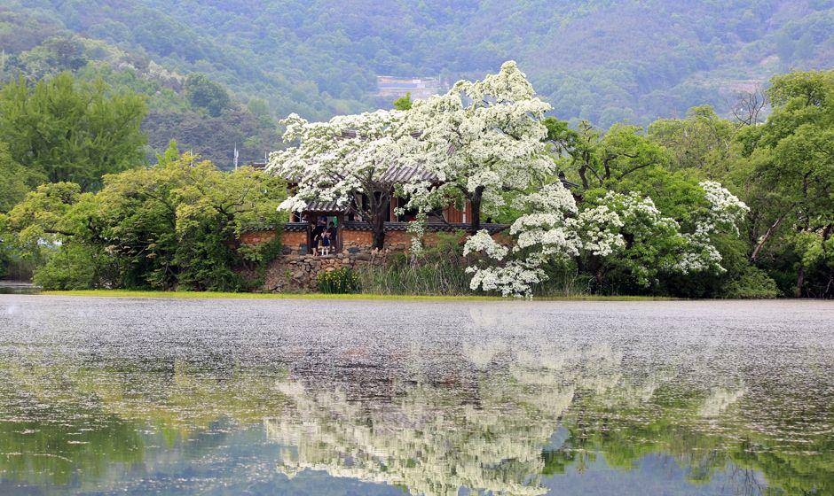 potret Wiyang Pond yang muncul dalam intro drama Moon Lovers: Scarlet Heart Ryeo (miryang.go.kr)