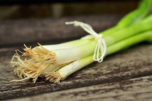 ilustrasi daun bawang (pixabay.com/Congerdesign)