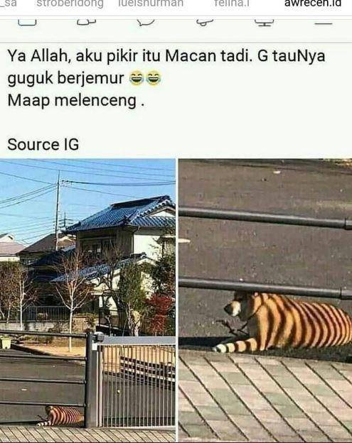 status medsos kejadian tak terduga (instagram.com/bagihumor)