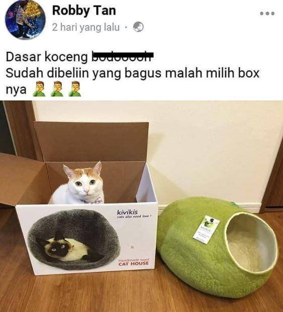 status medsos kejadian tak terduga (instagram.com/rajaparodi)