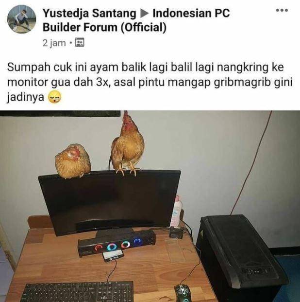 status medsos kejadian tak terduga (instagram.com/dagelan_bengkulu)