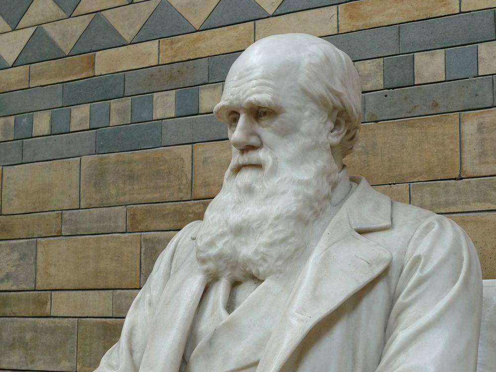 Patung Charles Darwin (pixabay.com/aitoff)