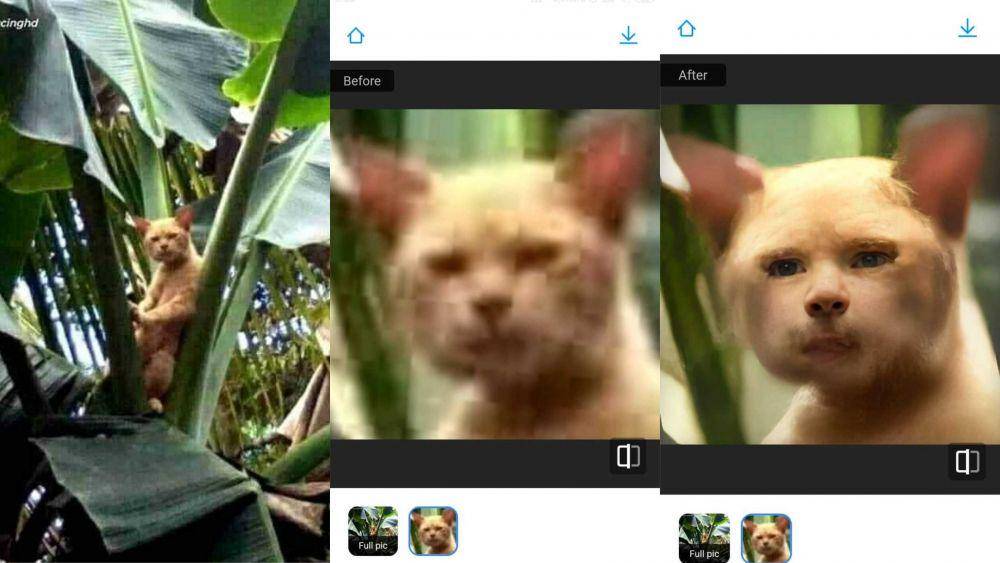 editan foto aplikasi remini (facebook.com/Luthfi)