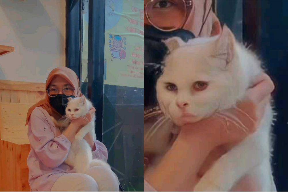 editan foto aplikasi remini (facebook.com/Nipa)