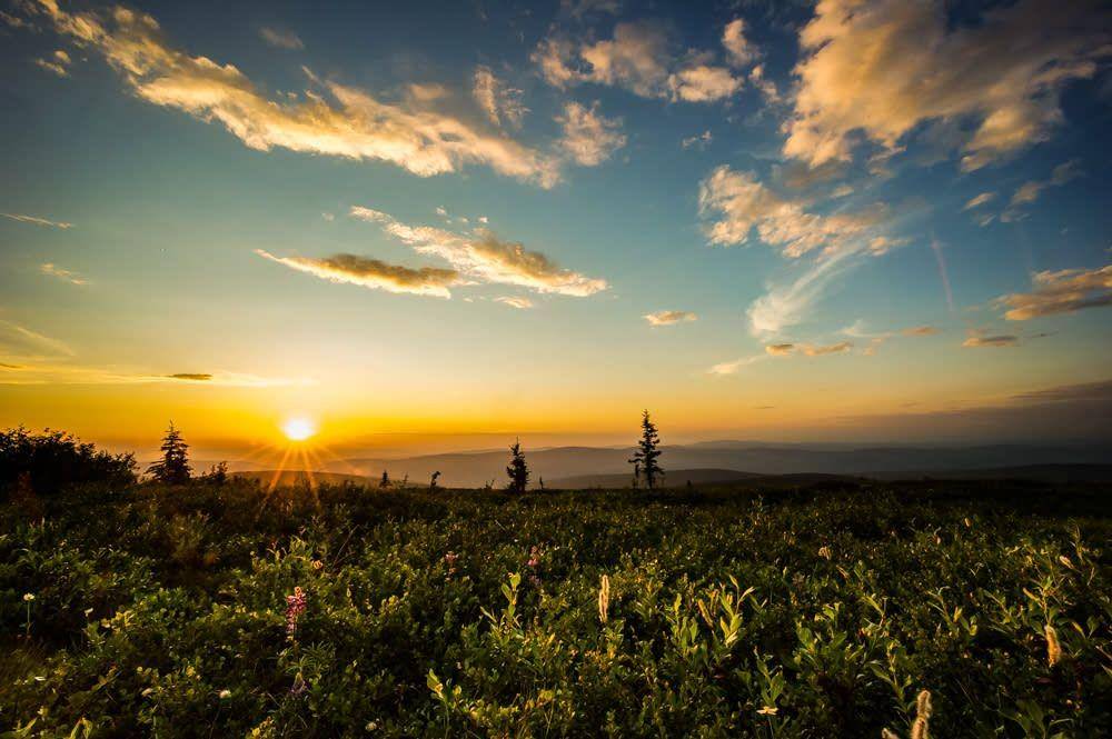 ilustrasi midnight sun di Fairbanks (explorefairbanks.com)