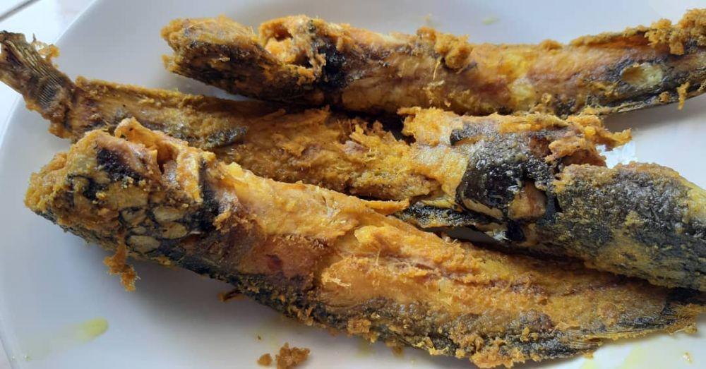 5 Cara Menggoreng Lele Renyah, Gak Bakal Meletup dan Lengket