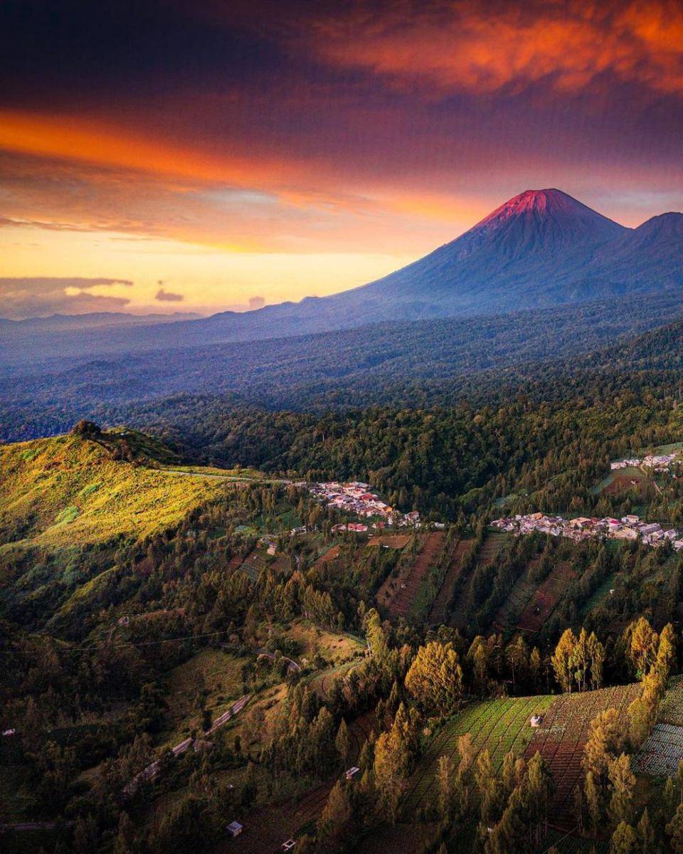 Desa Argosari (instagram.com/ekosumartopo)