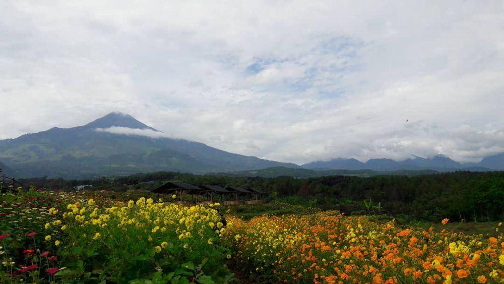 Kampung Organik Brenjonk, Mojokerto (instagram.com/msmt86)