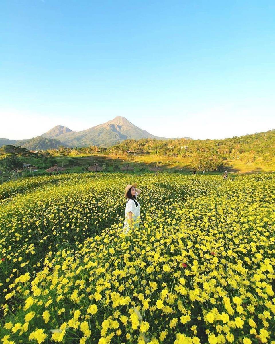 Kampung Organik Brenjonk, Mojokerto (instagram.com/exploreindonesia_com)