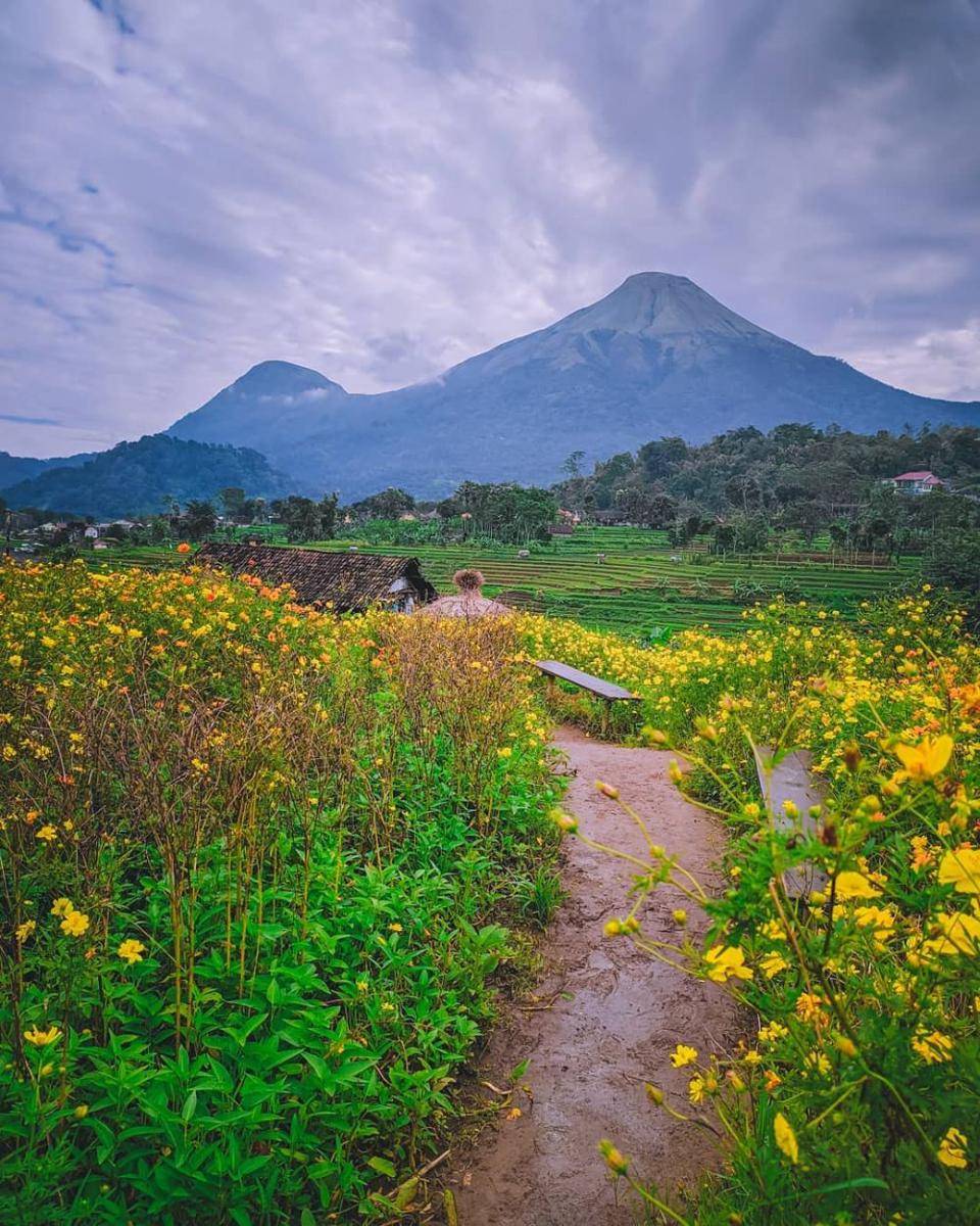 Kampung Organik Brenjonk, Mojokerto (instagram.com/denmayy)