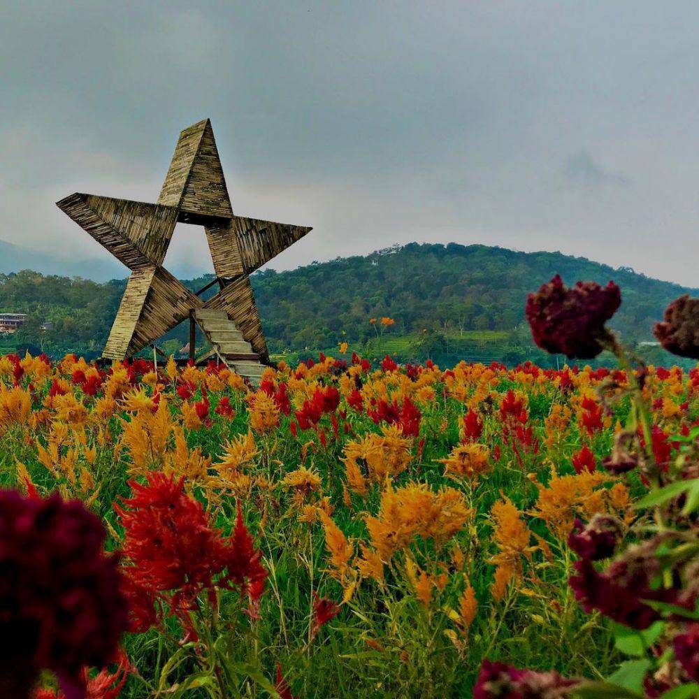 Kampung Organik Brenjonk, Mojokerto (instagram.com/a.aai17)