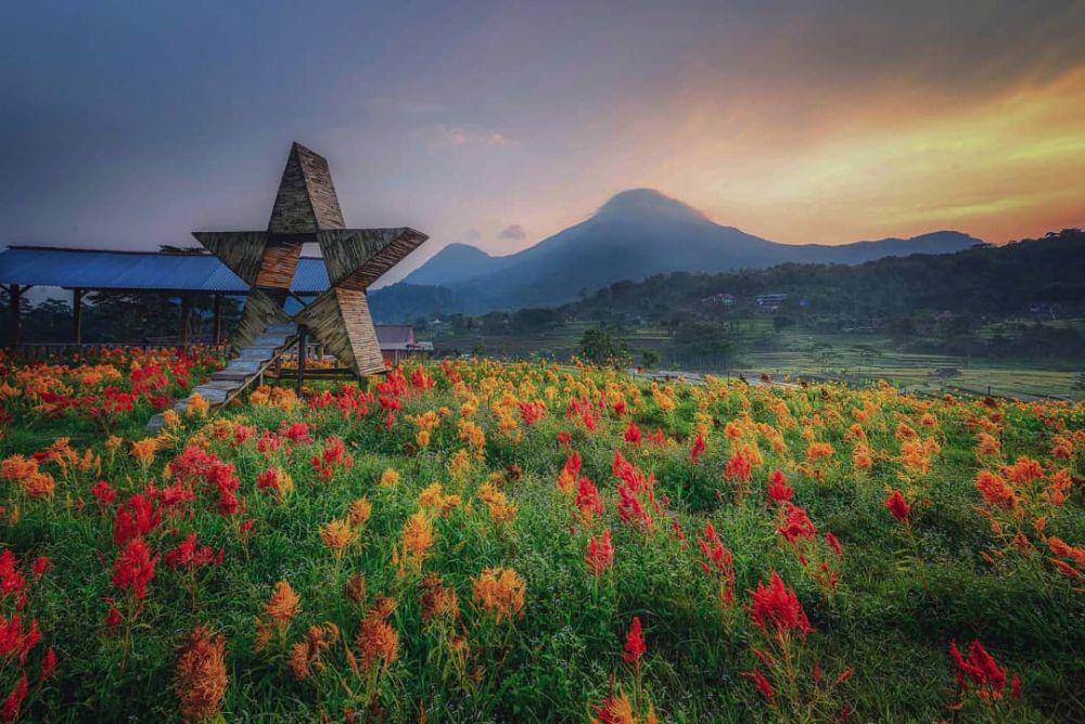 Kampung Organik Brenjonk, Mojokerto (instagram.com/onezliano)