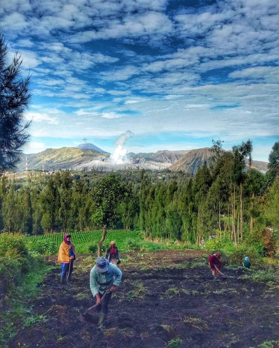 Desa Ngadisari (instagram.com/budi_jeep)