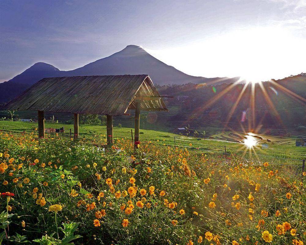 Kampung Organik Brenjonk, Mojokerto (instagram.com/poto2ku)