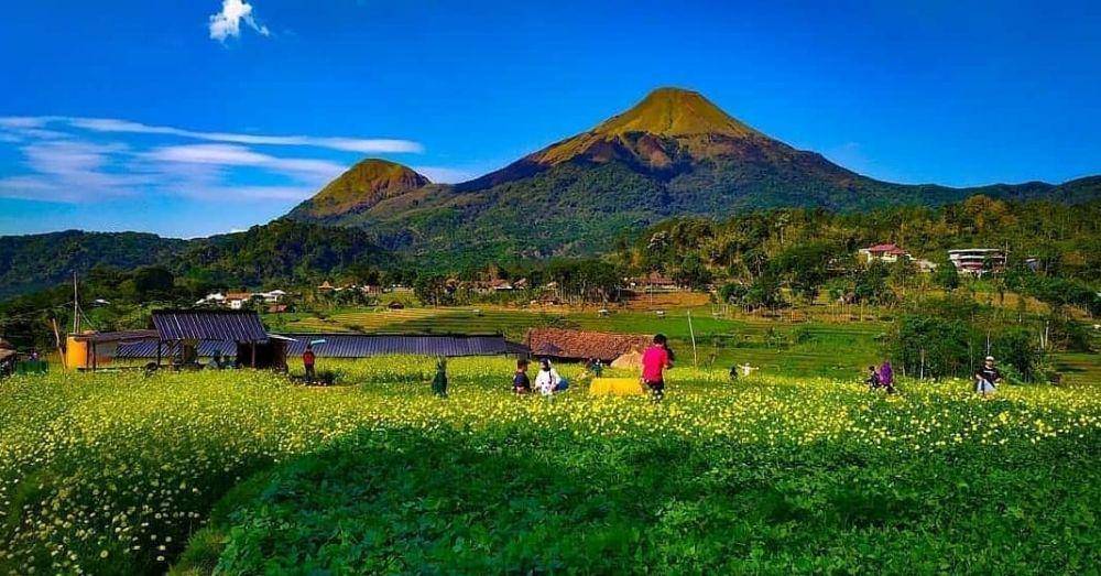 Kampung Organik Brenjonk, Mojokerto (instagram.com/jokerhitz_)