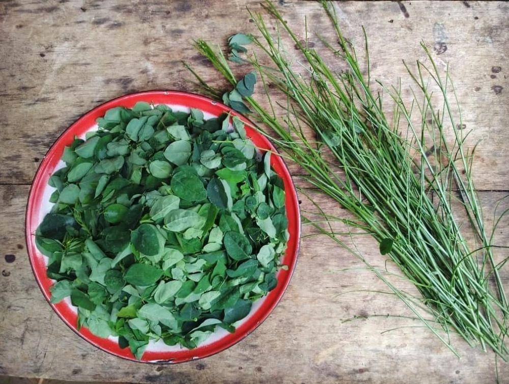 Katuk (instagram.com/keboenkaoem)