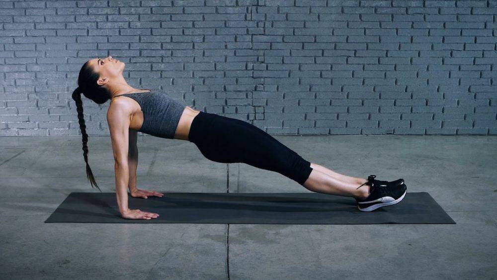 ilustrasi plank terbalik (evofitness.at)