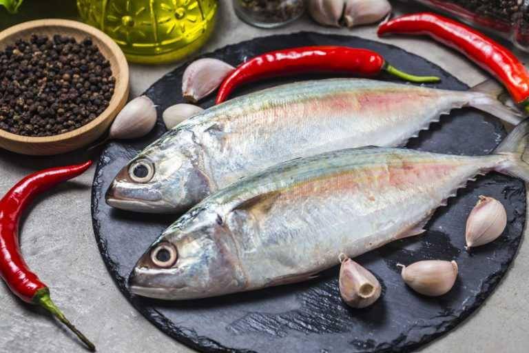 Ikan tongkol (mybrainllc.com)