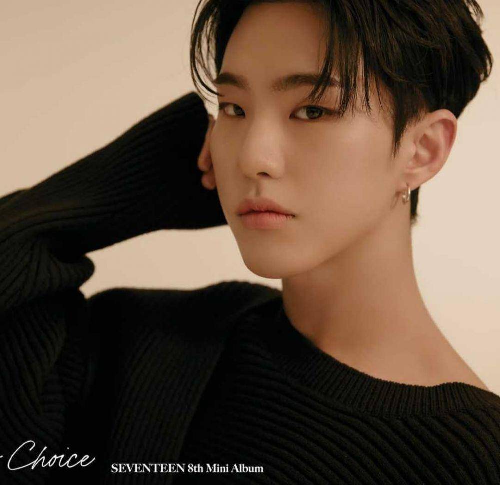 Hoshi SEVENTEEN (instagram.com/saythename_17)