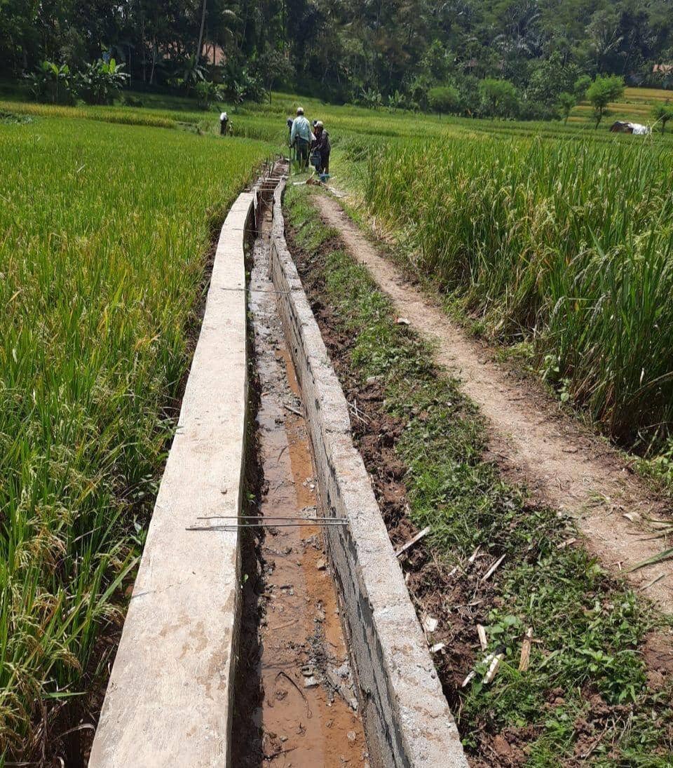 Petani Jombang Rasakan Manfaat RJIT